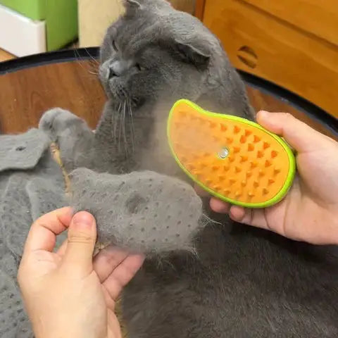 Cat Steam Brush