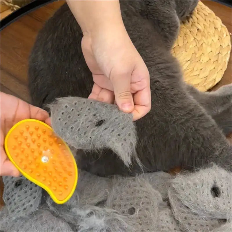 Cat Steam Brush