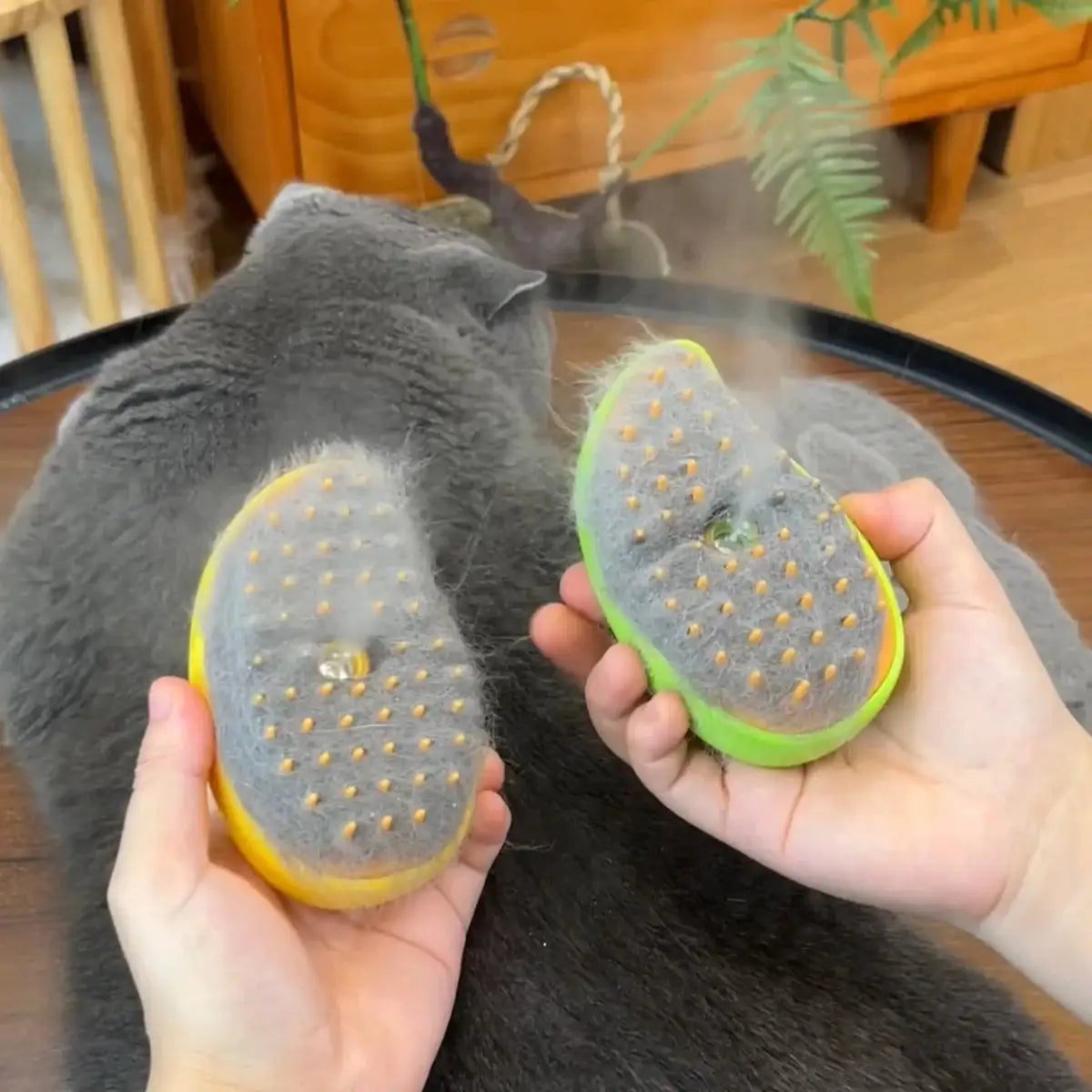 Cat Steam Brush